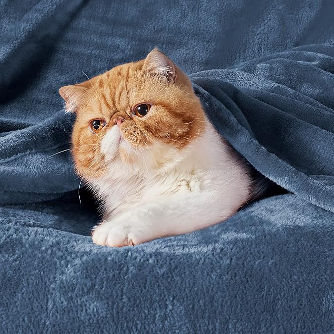 Bedsure Fleece Blanket Twin Size Mineral Blue - 300GSM Lightweight Plush Fuzzy Cozy Soft Warm Blanket for Bed, Sofa, Couch, Travel, Camping, 60x80 inches