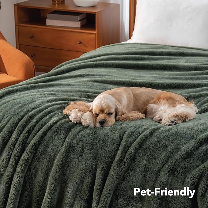Berkshire Blanket Classic Extra-Fluffy™ Plush Blanket King Size, Soft Fuzzy Fluffy Long Hair Blanket for Couch Sofa Bed, Dark Sage Green, 90x108 Inches