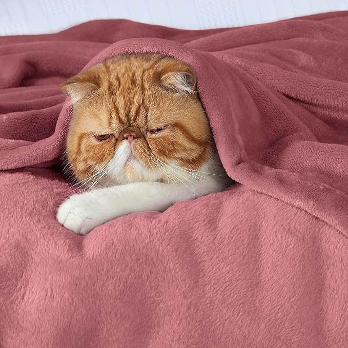 Bedsure Fleece Bed Blankets Queen Size Rose Pink - Soft Lightweight Plush Fuzzy Cozy Luxury Blanket Microfiber, 90x90 inches