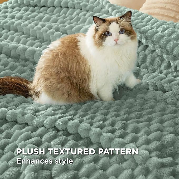 Bedsure Twin Blanket for Bed - Super Soft, Cozy Blankets for Women, Cute Fleece Gifts for Girls, Sage Green, 60x80 Inches