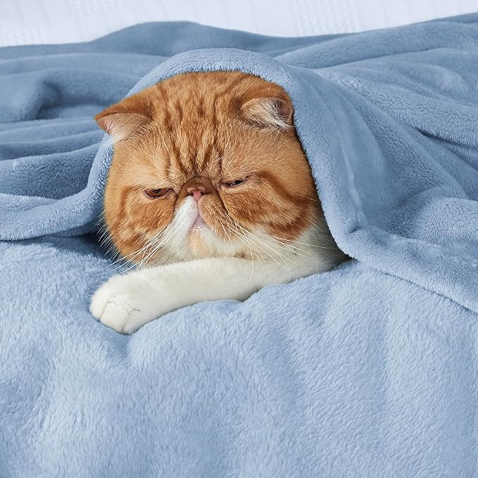Bedsure Fleece Throw Blanket for Couch Light Blue - Lightweight Plush Fuzzy Cozy Soft Blankets and Throws for Sofa, 50x60 inches