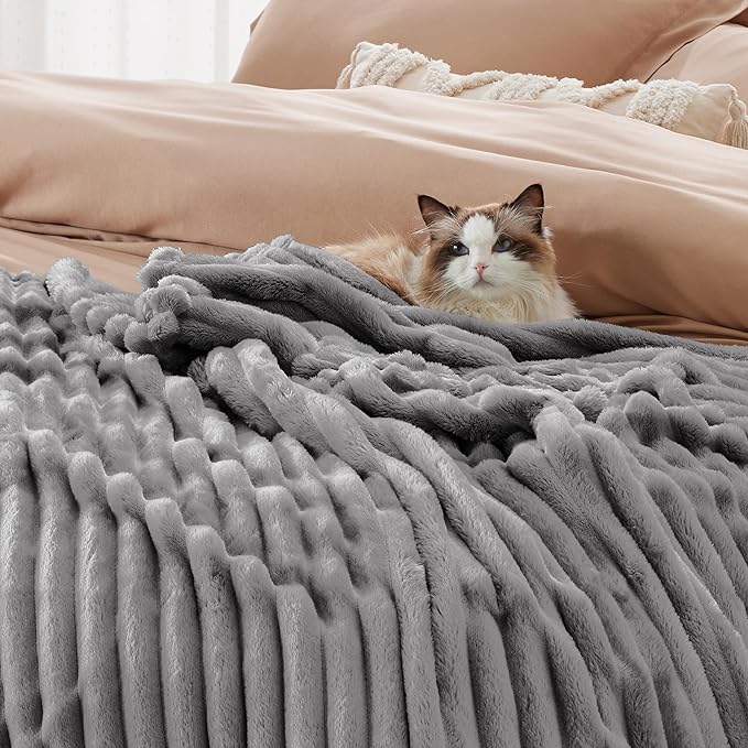 Bedsure Frost Gray California King Size Blanket for Couch - GentleSoft Cozy Soft Blankets for Women, Cute Small Fleece Throws for Girls, Birthday Gifts for Women, 102x96 Inches