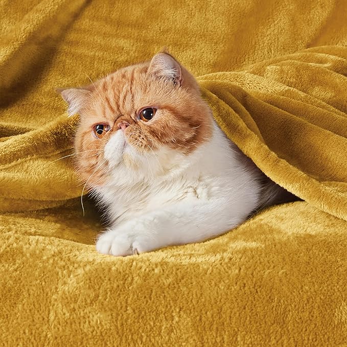 Bedsure Mustard Yellow Fleece Throw Blanket - 300GSM Blankets for Couch, Sofa, Bed, Soft Lightweight Plush Cozy Throws for Toddlers, 50x60 inches