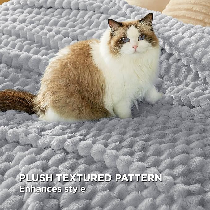Bedsure Queen Blanket for Bed - Super Soft, Cozy Blankets for Women, Cute Fleece Gifts for Girls, Cloudy Gray, 90x90 Inches