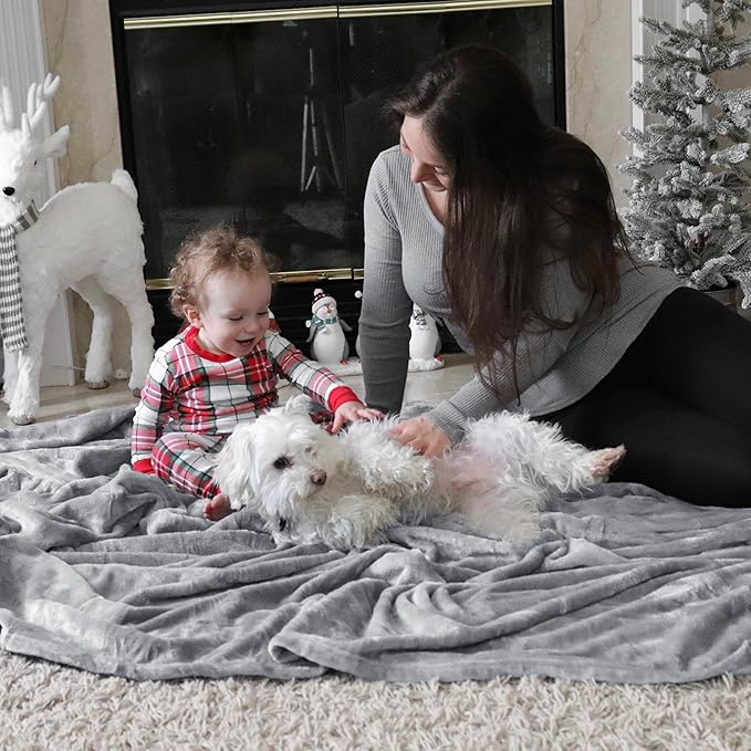 Bedsure Fleece Throw Blanket - Light Grey Lightweight Blankets for Sofa, Couch, Bed, Camping, Travel - Super Soft Cozy Microfiber Throws, 50x60 inches
