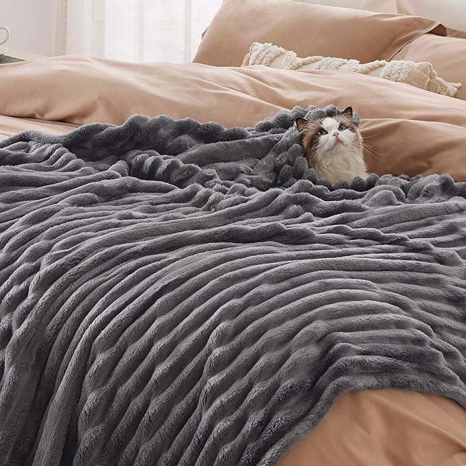 Bedsure Grey Fleece Queen Blanket for Couch - GentleSoft Cozy Soft Blankets for Women, Cute Small Throws for Girls, 90x90 Inches