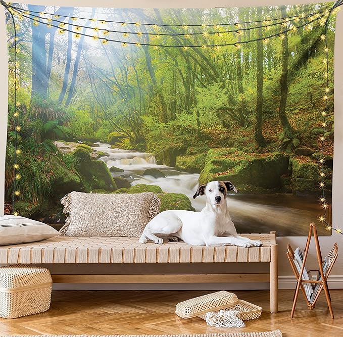 Ambesonne Woodland Tapestry Queen Size, Forest Scene at Golitha Falls Nature Reserve on the River Fowey Cornwall England, Wall Hanging Bedspread Bed Cover Wall Decor, 88" X 88", Green Brown