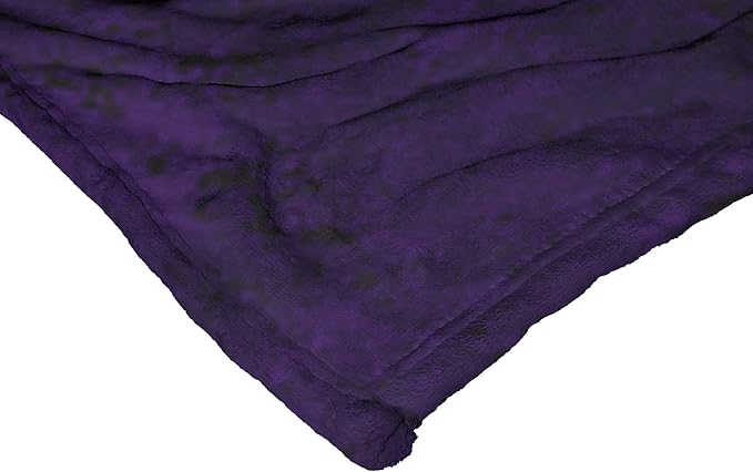 Northwest Beetlejuice Silk Touch Throw Blanket, 50" x 60", Purple Beetle