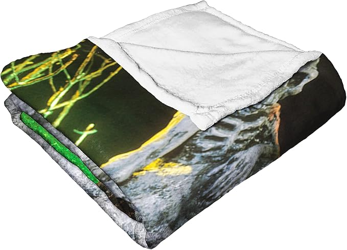 Northwest Beetlejuice Silk Touch Throw Blanket, 50" x 60", Here Lies Beetlejuice