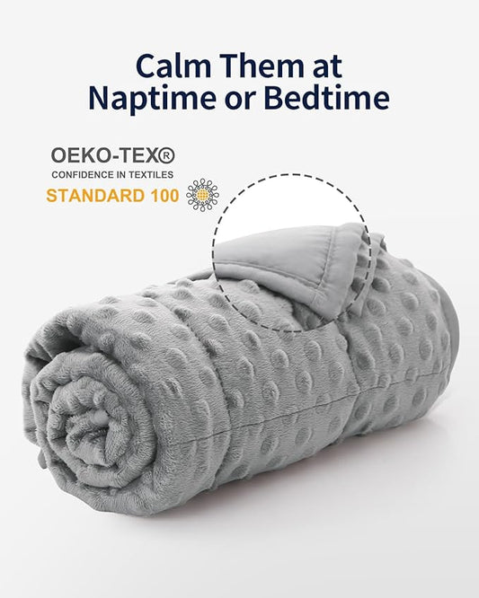 Mr. Sandman Weighted Blanket 3LBS 36 x 48 Inches, Minky Dots Heavy Blanket with Glass Beads, Soft and Cooling for School and Home, Grey