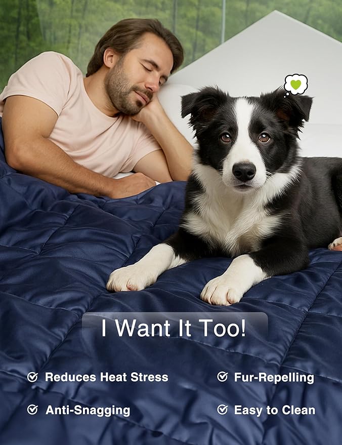 ZonLi Z-Magic 100% Cooling Bamboo Comforter from Viscose, Lightweight All-Season Breathable Bedding Blanket for Hot Sleepers