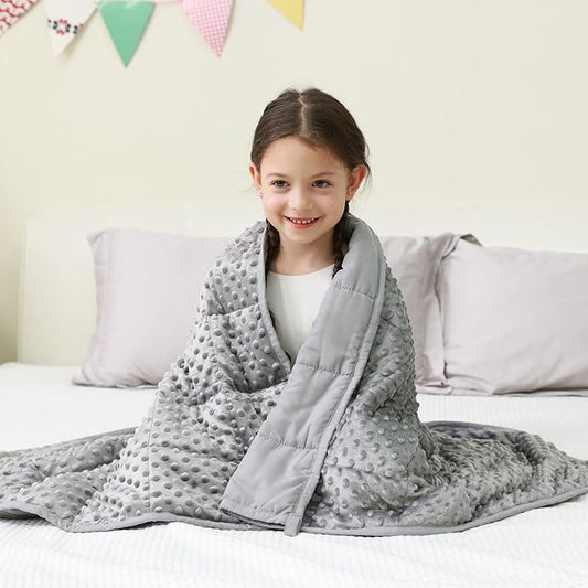 Mr. Sandman Weighted Blanket 3LBS 36 x 48 Inches, Minky Dots Heavy Blanket with Glass Beads, Soft and Cooling for School and Home, Grey