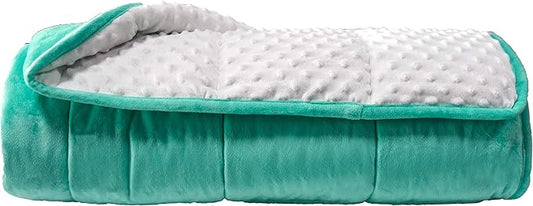 ALANSMA Reversible Weighted Blanket for All Season, Luxury Velvet, Warm and Cool, Adult 10Lb Weighted Blanket, Enjoy Sleeping Anywhere(Green, 48''x72''10lbs)