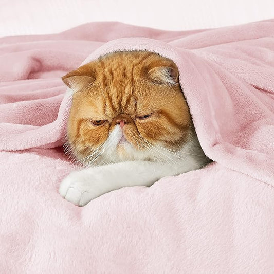 Bedsure Fleece Blanket Twin Size Pink - 300GSM Lightweight Plush Fuzzy Cozy Soft Valentines Blanket for Bed, Sofa, Couch, Travel, Camping, 60x80 inches