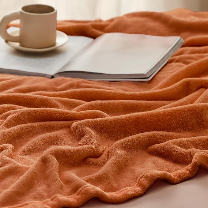 Bedsure Fleece Blanket Twin Size Burnt Orange - 300GSM Lightweight Plush Fuzzy Cozy Soft Warm Blanket for Bed, Sofa, Couch, Travel, Camping, 60x80 inches
