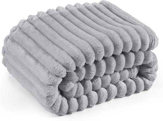Bedsure Twin Blanket for Couch - GentleSoft Cozy Soft Blankets for Women, Cute Small Fleece Throws for Girls, Light Grey, 60x80 Inches
