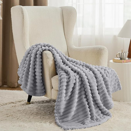 Bedsure Twin Blanket for Couch - GentleSoft Cozy Soft Blankets for Women, Cute Small Fleece Throws for Girls, Light Grey, 60x80 Inches