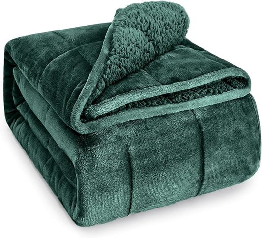 Wemore Sherpa Fleece Weighted Blanket for Adult, 20 lbs Dual Sided Cozy Fluffy Heavy Blanket, Ultra Fuzzy Throw Blanket with Soft Plush Flannel Top, 60 x 80 inches, Green on Both Sides