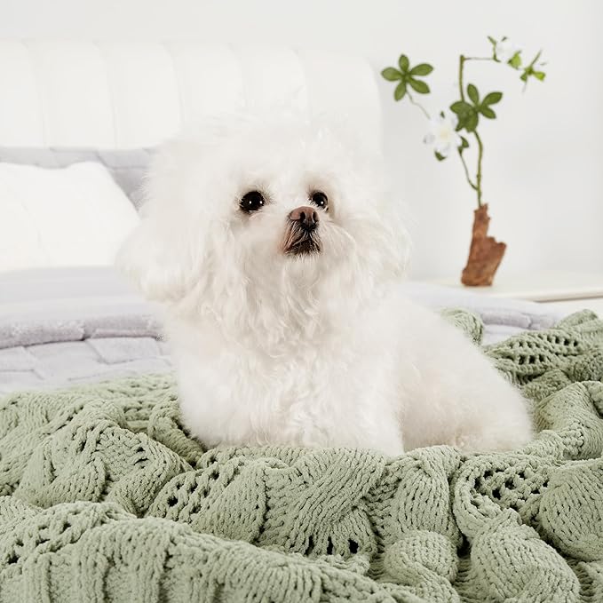 Amélie Home Chunky Knit Chenille Throw Blanket, Breathable Cable Knitted Blanket for Couch, Farmhouse Decorative Throw for Sofa Chair Bed, 60"x80", Sage Green
