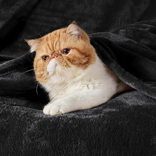 Bedsure Fleece Blanket Twin Size Black - 300GSM Lightweight Plush Fuzzy Cozy Soft Warm Blanket for Bed, Sofa, Couch, Travel, Camping, 60x80 inches