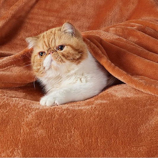 Bedsure Fleece Blanket Twin Size Burnt Orange - 300GSM Lightweight Plush Fuzzy Cozy Soft Warm Blanket for Bed, Sofa, Couch, Travel, Camping, 60x80 inches