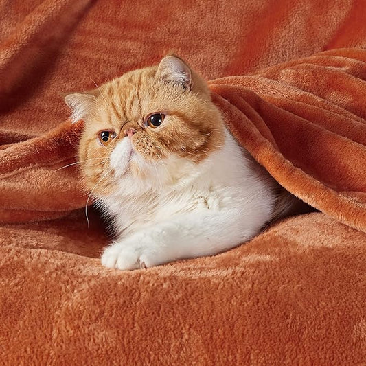 Bedsure Twin XL Fleece Blanket Dorm Bedding - Lightweight Soft Cozy Blankets for Bed, Sofa, Couch, Travel, Camping, Burnt Orange, 66"x90"