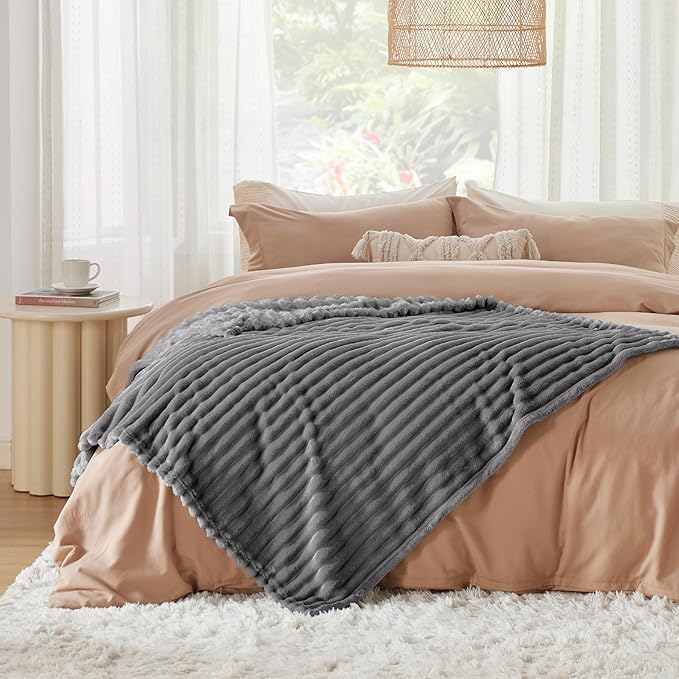 Bedsure Frost Gray Twin Blanket for Bed - GentleSoft Cozy Soft Blankets for Women, Cute Large Throws for Girls, 66x90 Inches