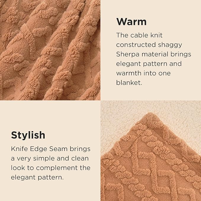 Bedsure Sherpa Fleece Blanket Twin Size for Bed - Fuzzy Soft Cozy Cable Throw for Couch, Thick Warm Blankets for Winter, Light Brown, 60x80 Inches