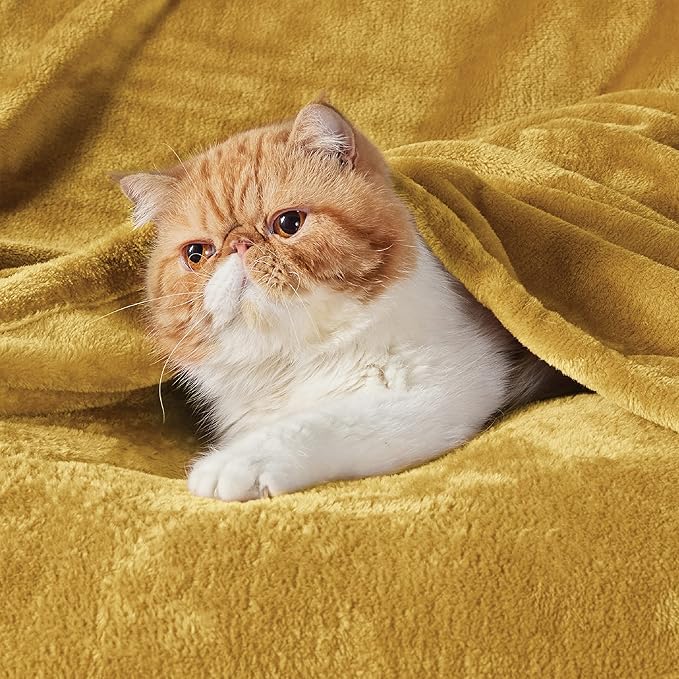 Bedsure Twin XL Fleece Blanket Dorm Bedding - Lightweight Soft Cozy Blankets for Bed, Sofa, Couch, Travel, Camping, Mustard Yellow, 66"x90"