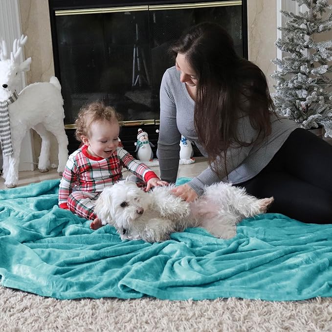 Bedsure Fleece Throw Blanket for Couch River Blue - Lightweight Plush Fuzzy Cozy Soft Blankets and Throws for Sofa, 50x70 inches