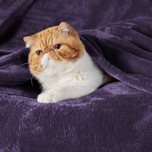 Bedsure Fleece Throw XL Blanket Purple - 300GSM Soft Lightweight Plush Cozy Blankets for Bed, Sofa, Couch, Travel, Camping, 50x70 inches