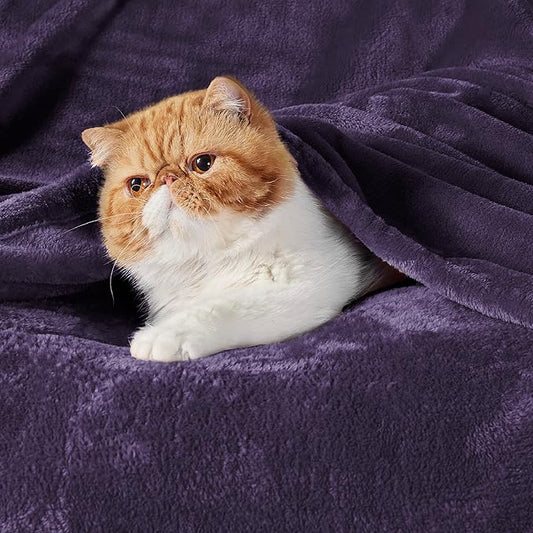 Bedsure Fleece Throw Blanket Purple - 300GSM Blankets for Couch, Sofa, Bed, Soft Lightweight Plush Cozy Throws for Toddlers, 50x60 inches