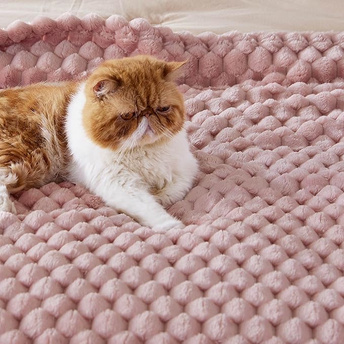 Bedsure Twin Blanket for Bed - Super Soft, Cozy Blankets for Women, Cute Fleece Gifts for Girls, Pink, 60x80 Inches