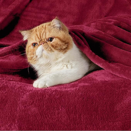 Bedsure Fleece Throw XL Blanket Red - 300GSM Soft Lightweight Plush Cozy Blankets for Bed, Sofa, Couch, Travel, Camping, 50x70 inches