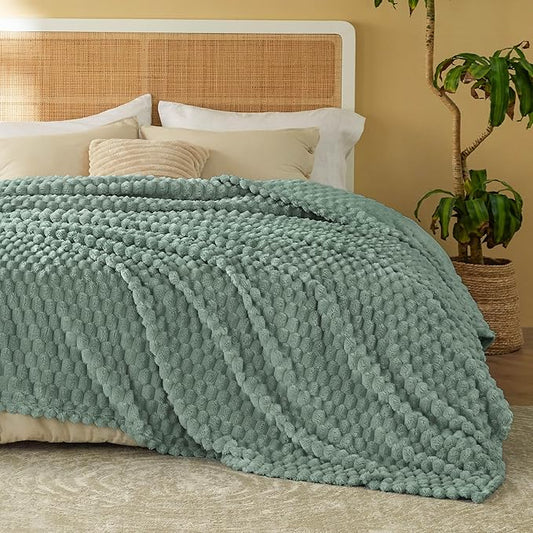 Bedsure Queen Blanket for Bed - Super Soft, Cozy Blankets for Women, Cute Fleece Gifts for Girls, Sage Green, 90x90 Inches
